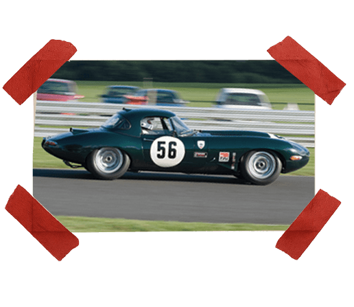 Color detail image for Dark Green